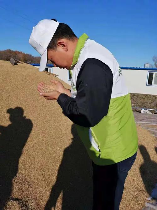 开展青穗活动，推进科技售粮——青穗信息科技的探索与实践